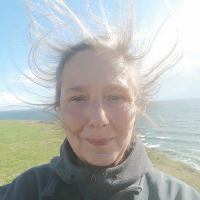 Windy